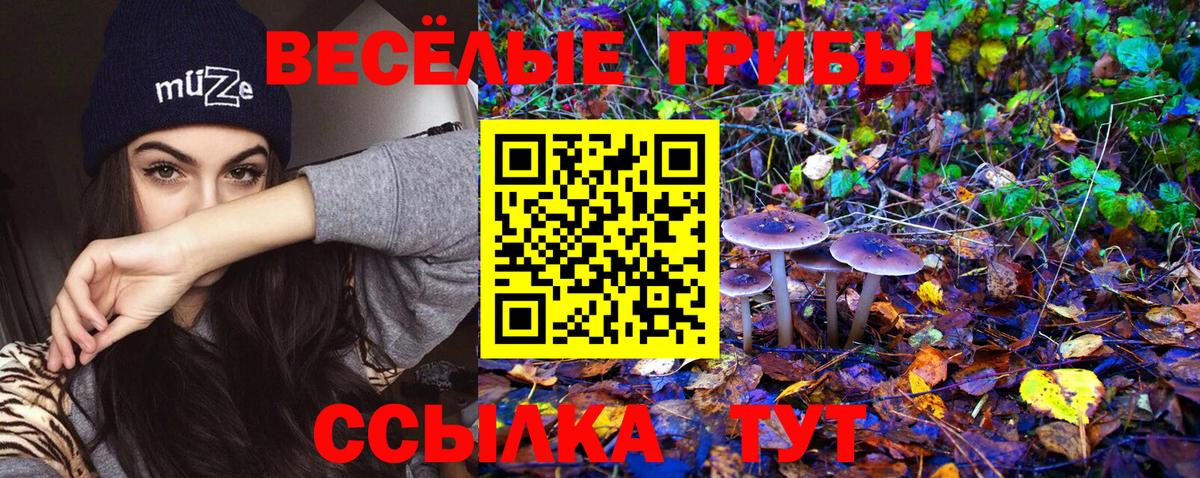 Галлюциногенные грибы мухоморы Когалым